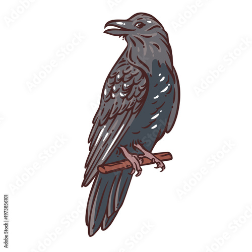 Viking raven perched on wooden branch with detailed feathers, sharp beak and talons, norse myth messenger and warrior omen symbol. Vintage engraving line Viking raven vector illustration.