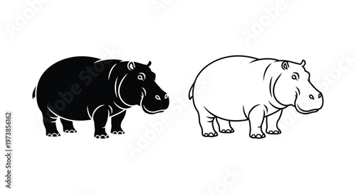 Hippopotamus Types: Black vs White Hippo Guide Vector