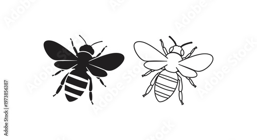 Bee vs Wasp: Key Differences & Identification Guide Vector