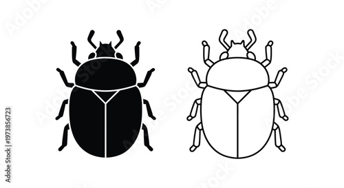 Ladybugs vs Beetles: Key Differences & Identification Guide Vector