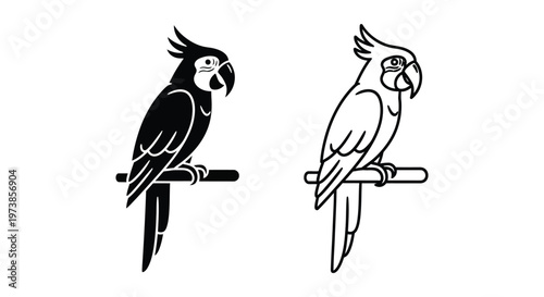 Vibrant Parrots Art: Black & Colorful Perched Birds Vector Design Vector