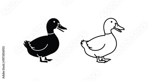 Male Female Duck Pair Illustration Design Vector