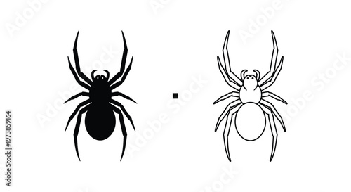 Black And White Spider Comparison Guide Vector