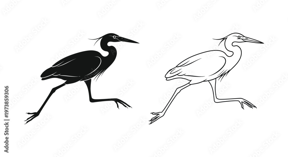 Obraz premium Black and White Heron Birds Illustration Guide Vector