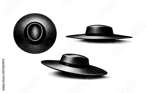 Hat wide brim A realistic wide-brim hat with shallow crown shown in three views: top-down view, side profile, and angled perspective, emphasizing brim width