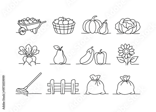 Farm Fresh Autumn Produce. Minimalistic set one-line drawing rustic wheelbarrow filled with vegetables, apple basket, pumpkin patch gourd, cabbage head, radish