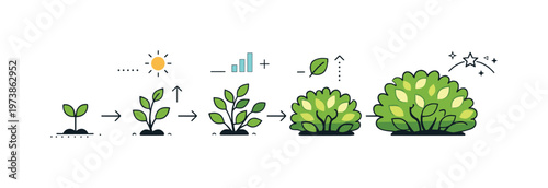 Shrub growth stages. Several shrubs shown in simple stages from small to full shape, smooth progression and natural development. Arrows and abstract indicators
