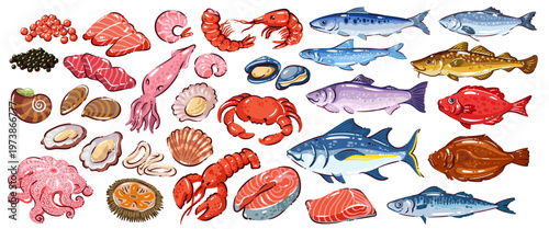 Seafood set with salmon fillet, tuna steak, shrimp, crab, lobster, squid, mussels and assorted fish. Market seafood assortment for menu and packaging, vector illustration.