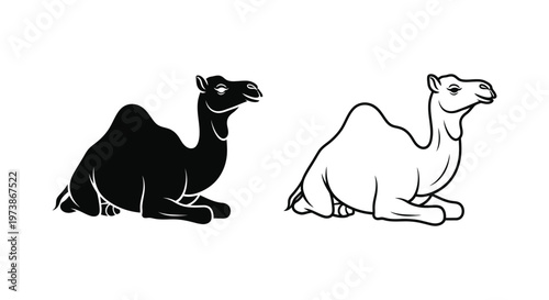 Camel Illustrations: Dromedary vs Bactrian Camels Design Vector