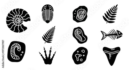 Fossil icons, ancient animal silhouettes, prehistoric creature symbols, black fossil set, 10 prehistoric fossils