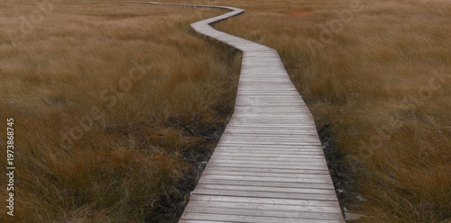 Where Does It Lead?