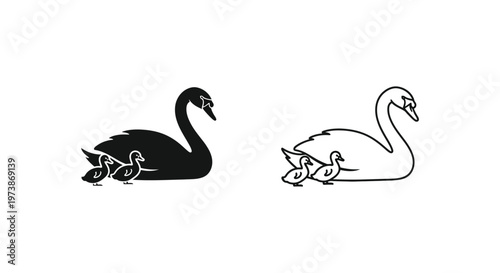 Black and White Swans with Cygnets Illustration Vector