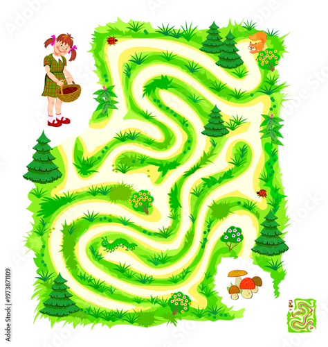 Best labyrinths. Can you find the path in the forest? Draw the way to the mushrooms. Logic puzzle game. Brain teaser book. Educational page. Kids activity sheet. Hand drawn vector illustration.