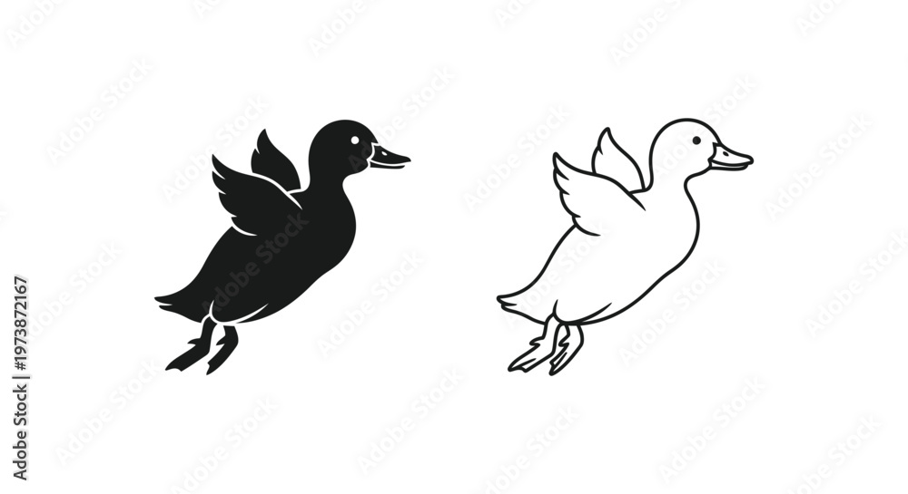Fototapeta premium Duck Silhouette Designs: Male vs Female Birds Guide Vector
