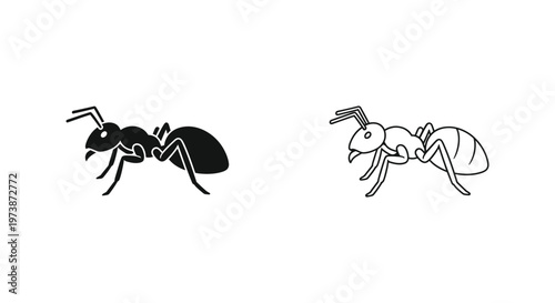Ant Species Comparison: Worker Ant vs Queen Ant Vector