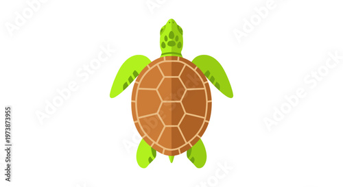 A stylized sea turtle viewed from above against a white background.