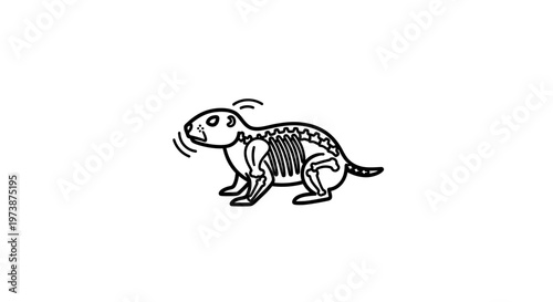 Cartoon prairie dog skeleton illustration, funny animal anatomy, cute science graphic