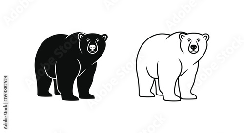 Black Bear vs Polar Bear: Key Differences Vector
