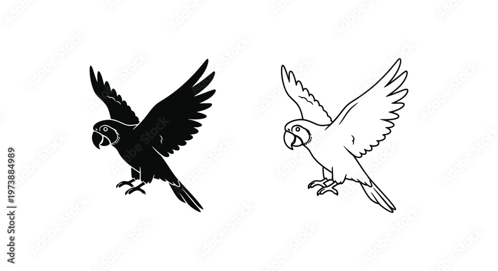 Fototapeta premium Parrot Flight Designs: Sketch Art & Vector Illustrations Vector