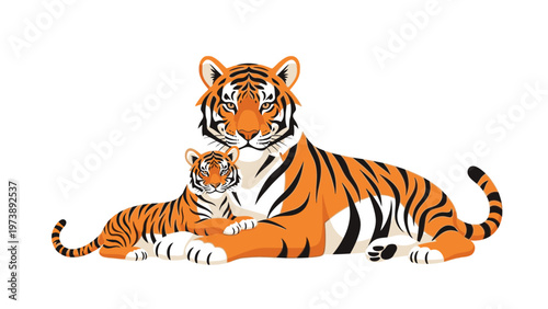 An adult tiger and a tiger cub lying down together on a white background, showcasing their orange and black stripes.