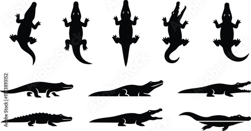 Black Crocodile Silhouettes in Top and Side View Perspectives.