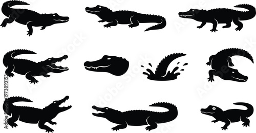 Black Crocodile and Alligator Silhouettes Set on White Background.
