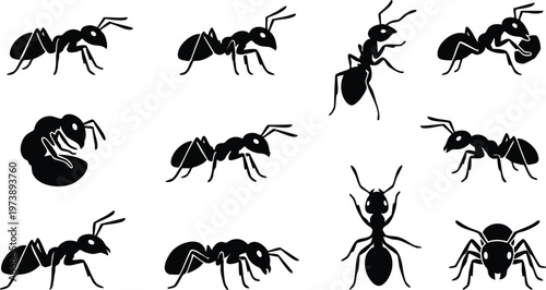 Collection of Black Ant Silhouettes in Various Poses.