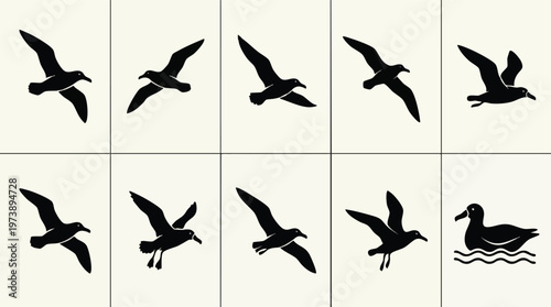 Black Albatross Silhouettes in Various Poses Arranged in a Grid.