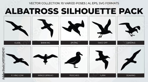 Set of Ten Black Albatross Silhouettes in Various Flight Poses.