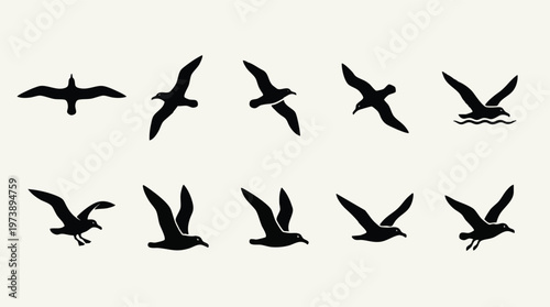 Ten Black Albatross Silhouettes in Various Flying Poses.