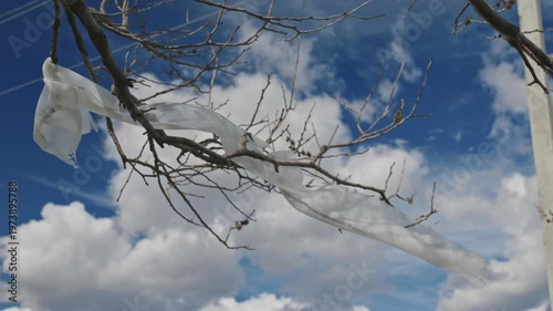 Plastic Waste Caught in Tree Branch Under Blue Sky
