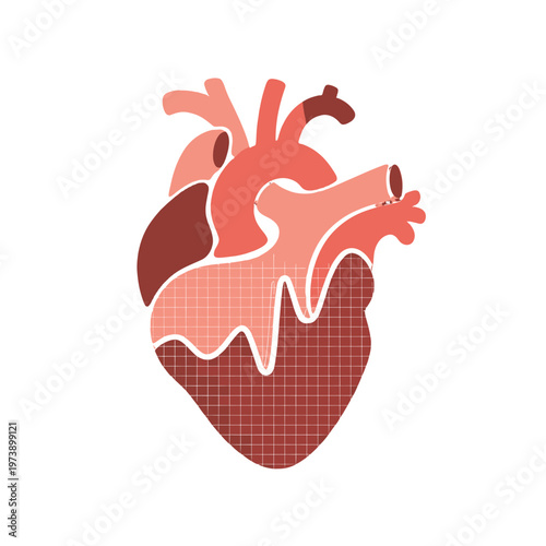 An illustration of the human heart, artfully depicted in shades of red.