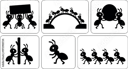 Ants carrying objects and walking in line