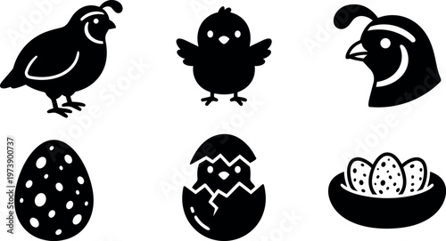 Quail bird eggs and hatchling icons