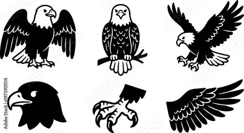 Black and white eagle vector art with wings talons and head illustrations