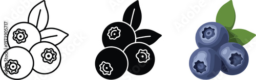 Blueberry Illustrations in Three Styles berries fruit