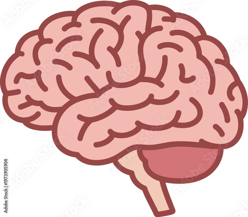 Stylized Human Brain Illustration anatomy science