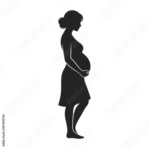 vector illustration of A silhouette of a pregnant woman tenderly cradling her baby bump. This simple yet elegant image speaks to the beauty of motherhood