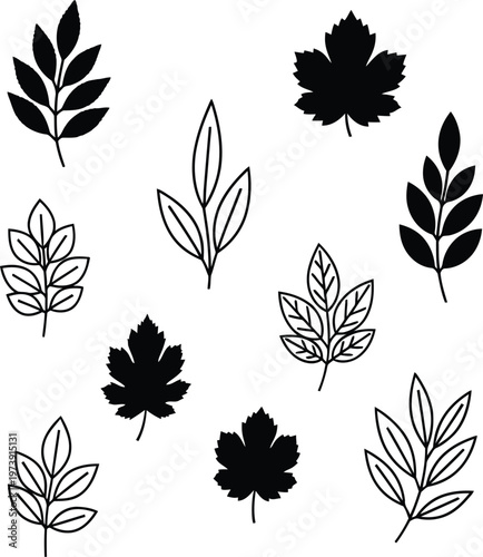 Black and white leaf silhouettes a botanical collection