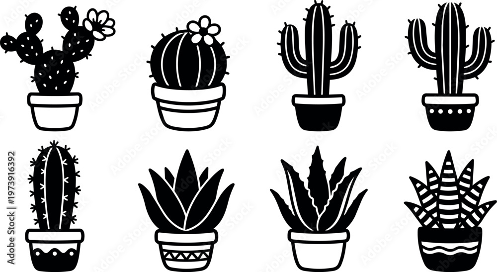 Fototapeta premium Potted cactus and succulent plants with floral details