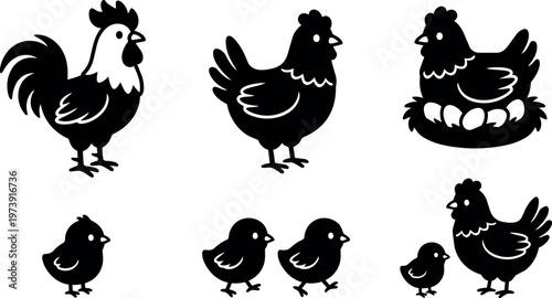 Rooster hen chick and hen sitting on eggs