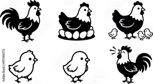 Black and white rooster hen chicks chicken family vector art