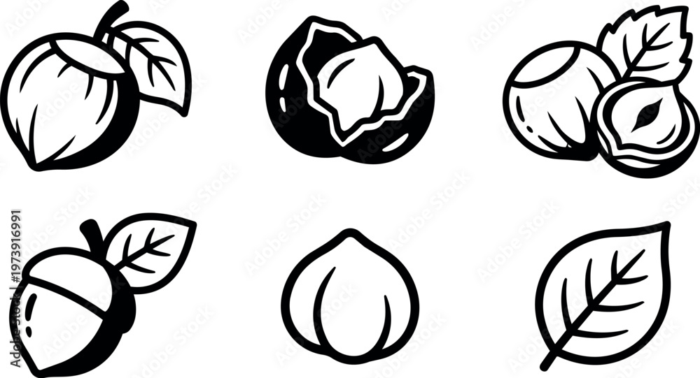 Fototapeta premium Different nuts and leaves set in simple line style