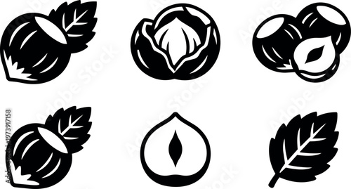 Black and white hazelnut nuts and leaf line art vector illustration