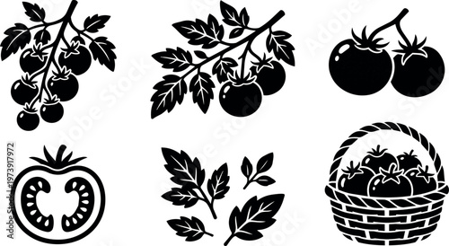 Black and white tomato berries and leaves flat design vector art