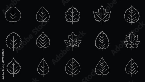 Title intricate leaf designs a collection of minimalist botanical line art description a series of delicate white line drawn leaf illustrations against a