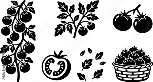 Black and white tomato fruit and leaf silhouettes with basket and branch vector art