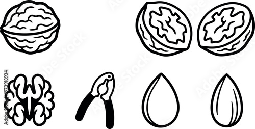 Black and white line art whole and cracked walnuts with nutcracker and kernels