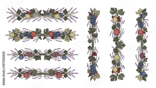 Decorative Fruit & Lavender Borders - Vector Graphics for Food & Drink Design