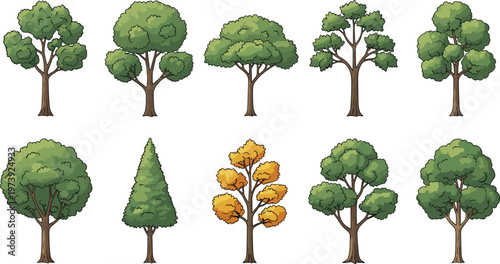 Hand Drawn Tree Collection with Different Forest Styles Green and Autumn Foliage Nature Vector Set Isolated on White Background